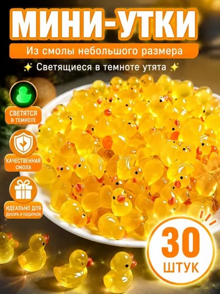 30 шт. мини-утки из смолы для школьных проектов, аксессуары, миниатюрные персонажи