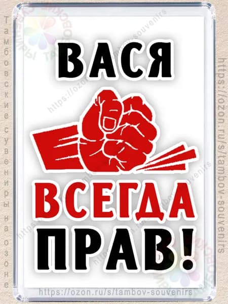 Магнит на холодильник "Вася всегда прав"