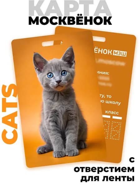Карта школьника Москвёнок CATS №11