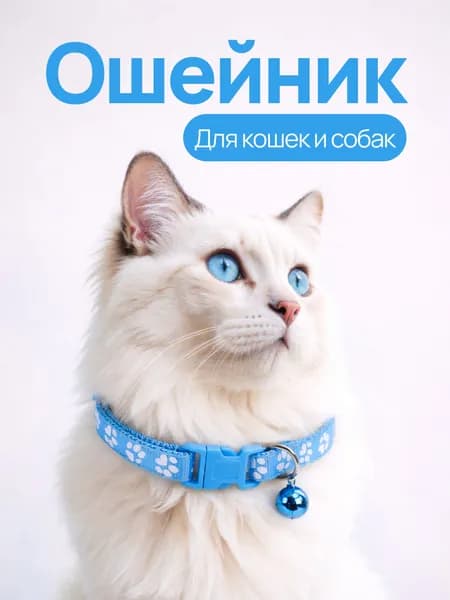 Ошейник с колокольчиком для кошек, котят, собак мелких пород и кроликов