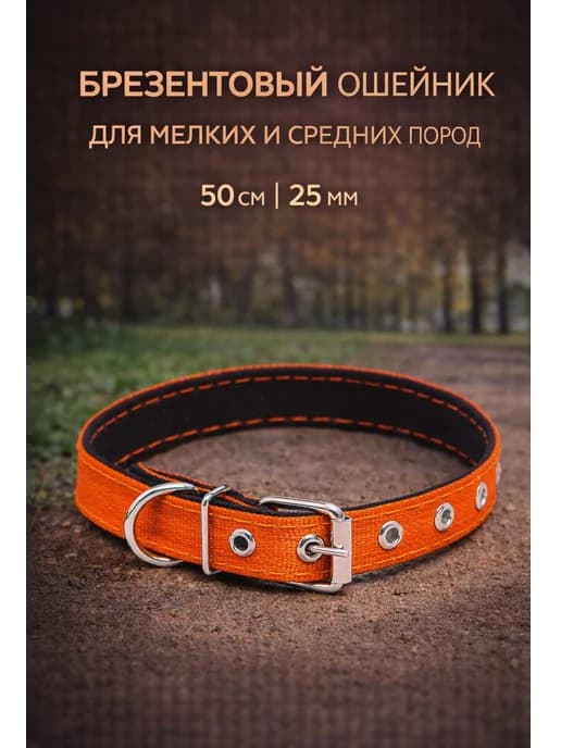 Ошейник для собак средних и мелких пород