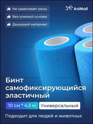 Эластичный бестселлер для питомцев