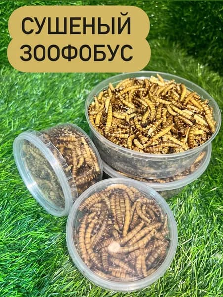 Сушеный зоофобус 500 мл
