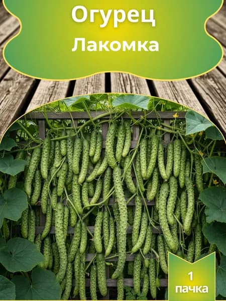 Огурец Огурец Лакомка, семена, 10 шт.