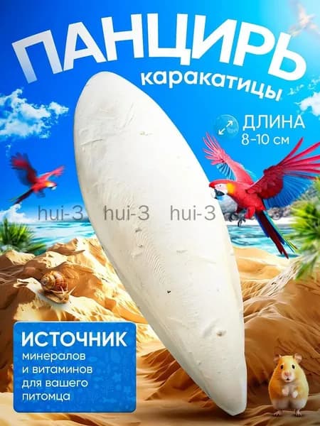Сепия 10 см 1 штуки панцирь каракатицы для попугаев, корм для птиц