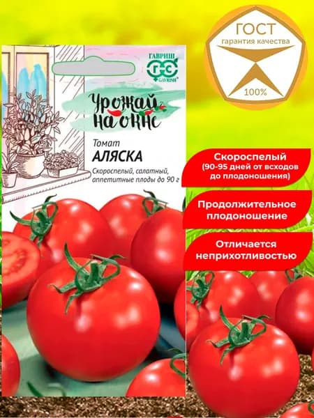 Семена томатов Аляска, скороспелый, низкорослый, комнатный, балконный. Отличные вкусовые качества.