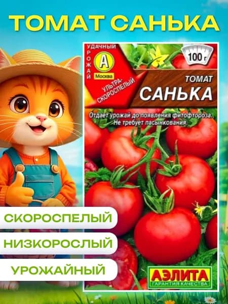 Томат Санька ранний низкорослый, семена томатов коллекционные Аэлита (20 сем-н)