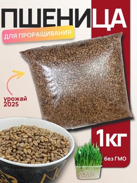 Пшеница для проращивания, заваривания, витграсс, 1 кг