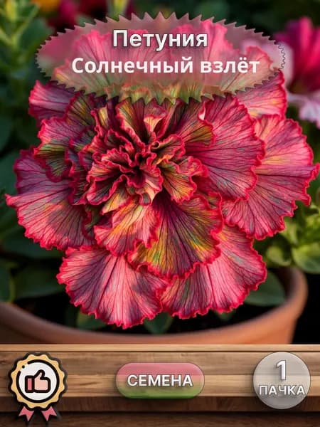 Петуния Солнечный взлёт, семена, 10 шт.