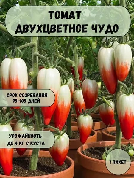 Томат Двухцветное чудо, семена 10 шт