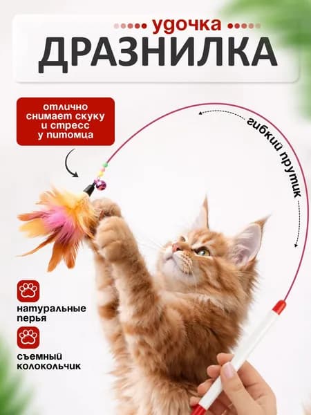Удочка для кошек с перьями. Удочка дразнилка для кошек