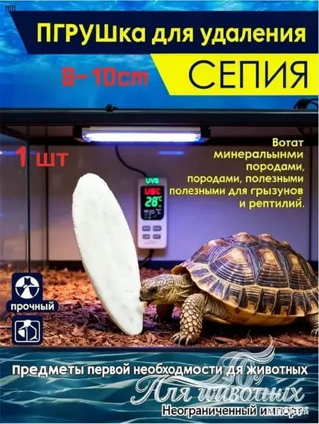 Сепия 8-10 см 1 штуки, панцирь каракатицы для улиток, черепах, попугаев, рептилий, корм для птиц