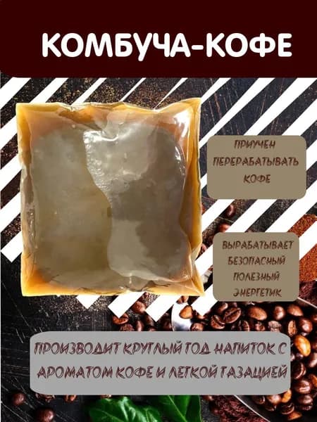 КОМБУЧА - КОФЕ. Чайный гриб приучен перерабатывать кофе. Полезный и безопасный энергетик