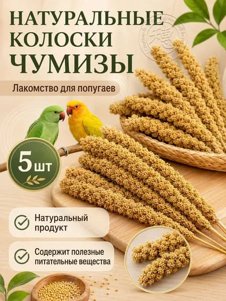Чумиза для попугаев 5 шт. сенегальское просо лакомство игрушка для птиц и грызунов , урожай 2025 года - КОПОШИЛКА бренд от производителя