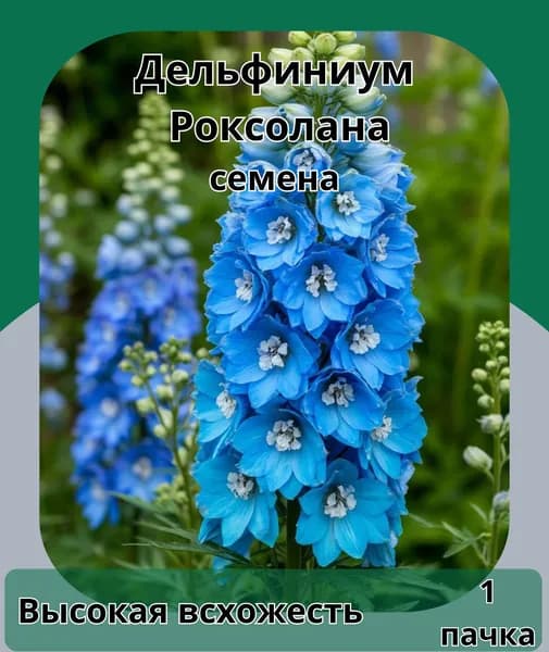 Дельфиниум роксолана,семена 10шт