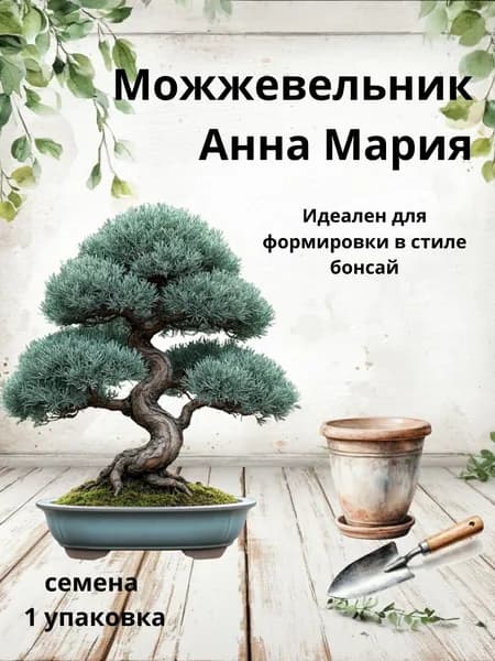 Можжевельник Анна Мария, семена бонсай, 10 шт