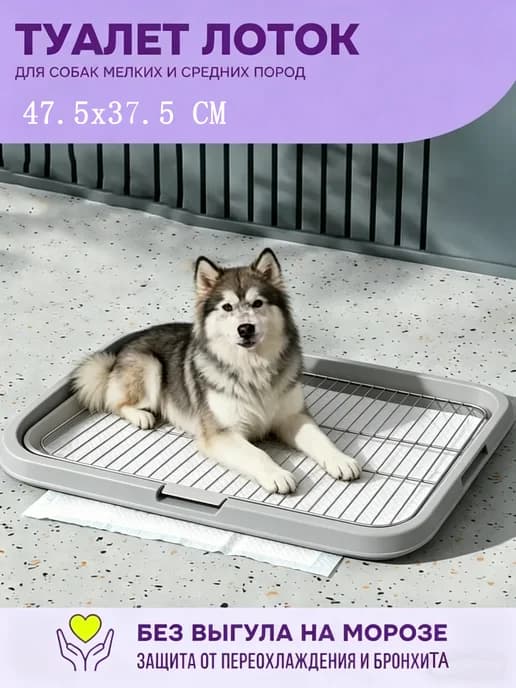 Ящик для кошачьего туалета