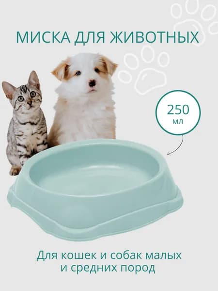 Миска для кошек, для собак DD Style / Пластиковая миска для воды и корма, ментоловый, 250 мл