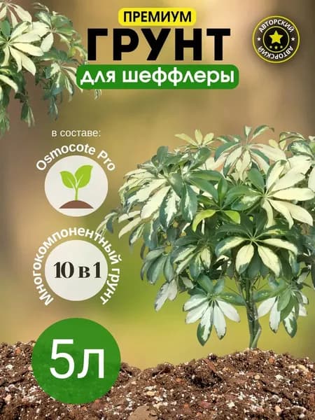 Грунт для Шеффлеры 5л готовый премиум
