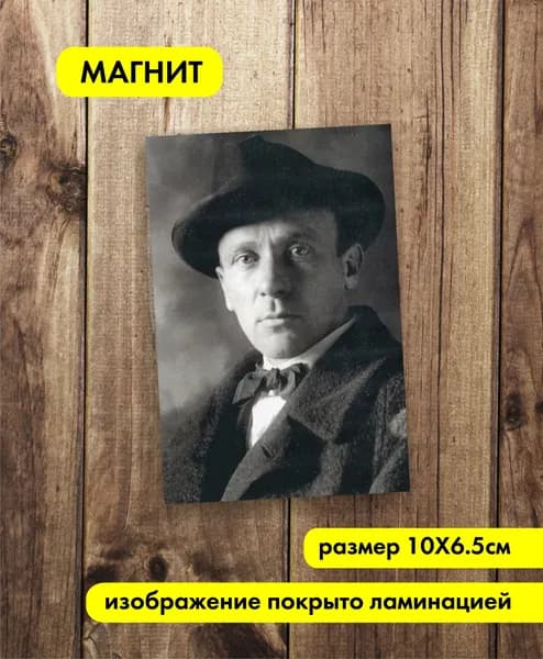 Магнит. Булгаков.