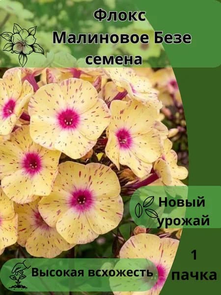 Флокс Малиновое Безе, семена 10шт