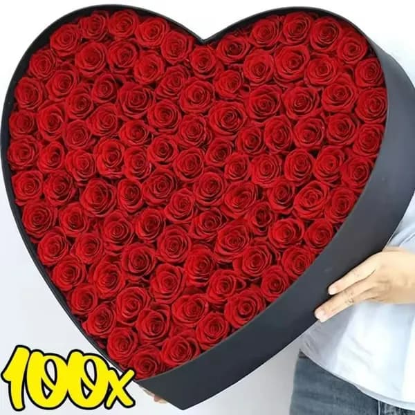 Стабилизированные цветы 100 шт красный