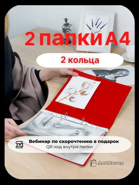 Папка на кольцах для документов А4-2шт