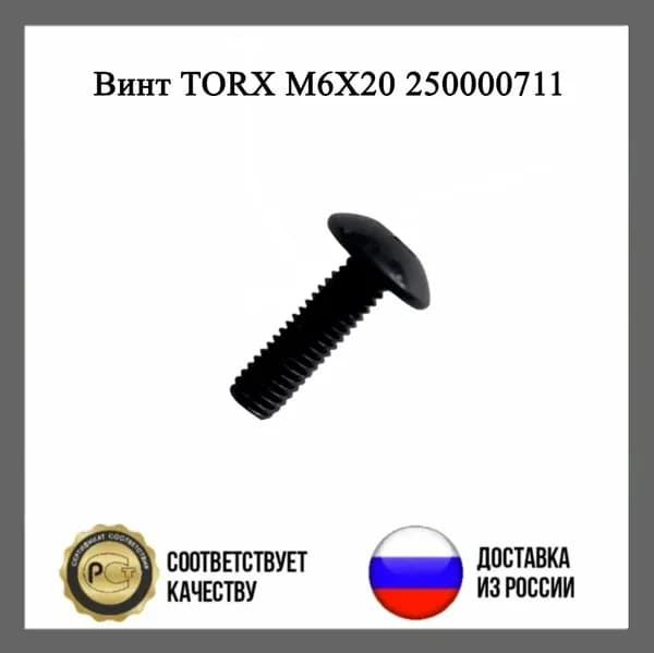 Винт TORX M6X20 250000711