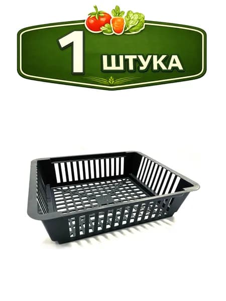 Корзина для проращивания луковичных пластиковая прямоугольная 29,5х24х8см Агропласт БП-00001466
