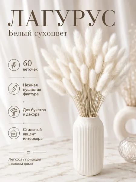 Сухоцветы Лагурус 55 см 60 шт белый