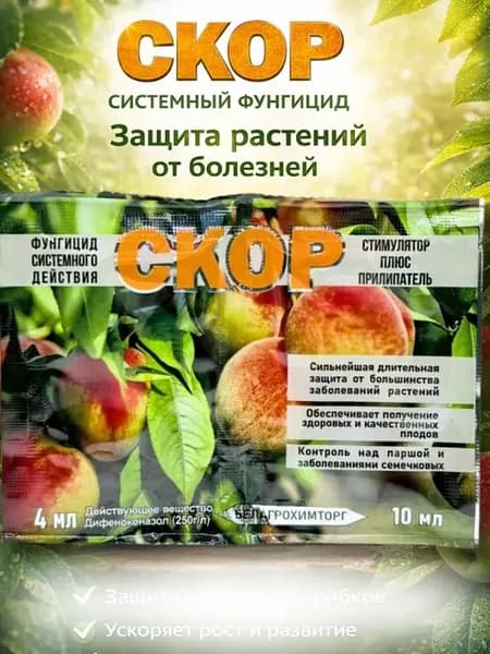 Фунгицид СКОР с прилипателем средство от болезней растений