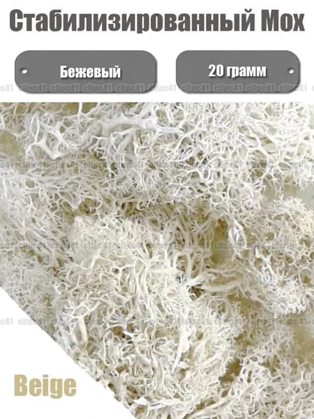 Стабилизированный мох Мох 20 г бежевый