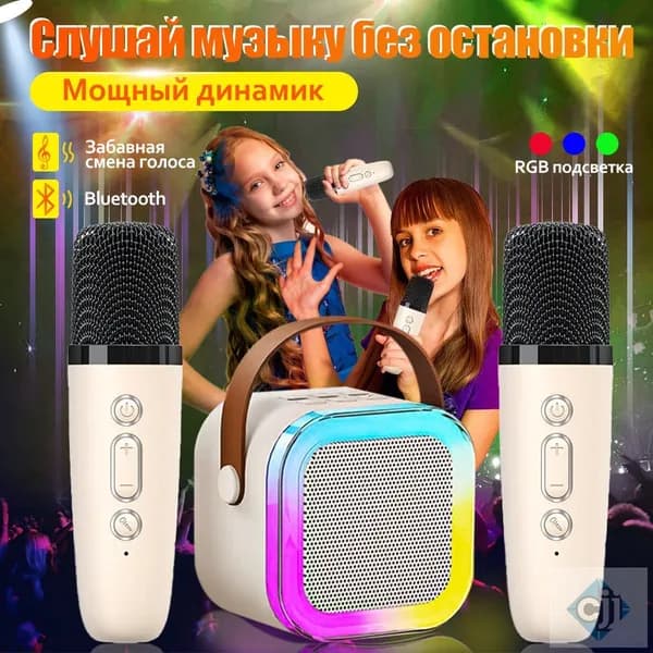 Портативная караоке-система с 2 микрофонами