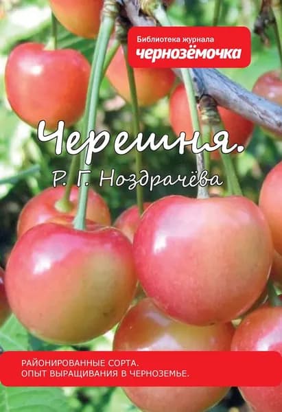 Черешня. Районированные сорта. Опыт выращивания в Черноземье | Ноздрачева Р. Г. | Электронная книга