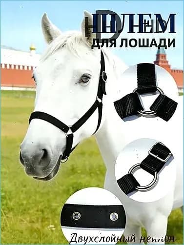 Недоуздок для лошади FULL