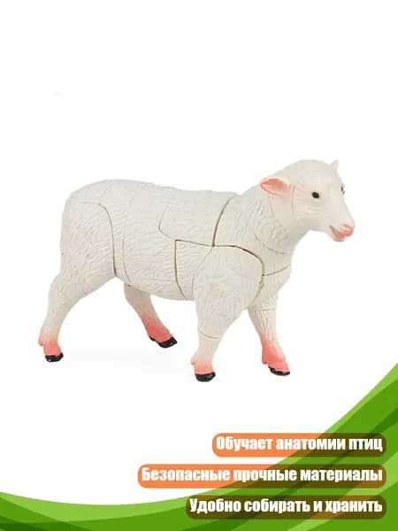 Интерактивный 4D-конструктор курицы, - овцы