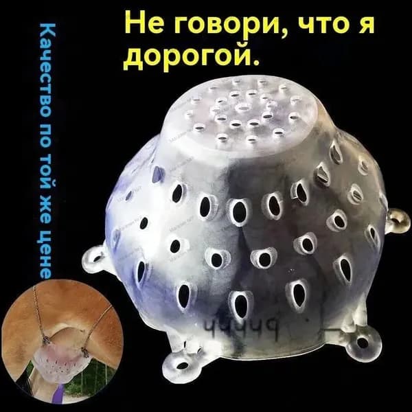 Украшение для животных-