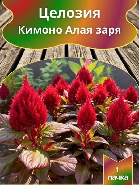 Целозия Кимоно Алая заря , семена 10 шт.