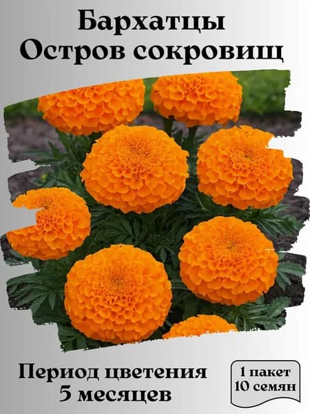 Бархатцы Остров сокровищ, семена, 10 шт., 15 гр.