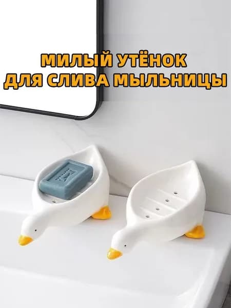 Мыльница