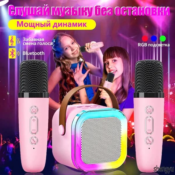 Портативная караоке система, колонка с двумя микрофонами