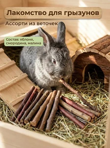 Лакомство для грызунов Ассорти из веточек