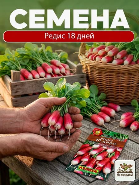Редис 18 дней / Аэлита
