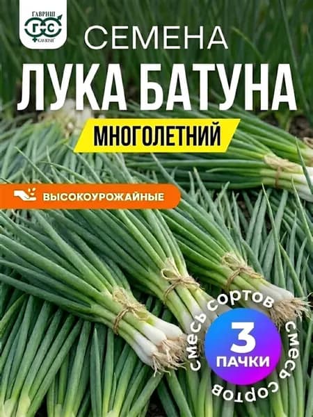 Семена лука батун многолетний на зелень