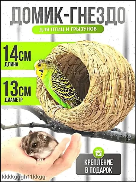 соломенное птичье гнездо