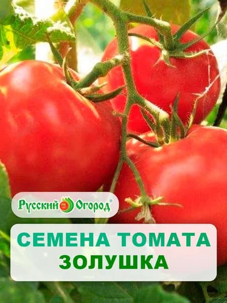 Семена Томат "Золушка" 0,1 г, овощи для дома, дачи и огорода, в открытый грунт, для теплицы, для парника