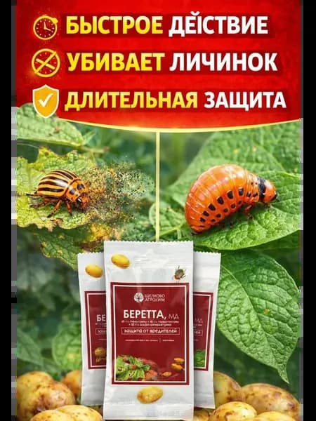 Средство от колорадского жука защита картофеля от личинок