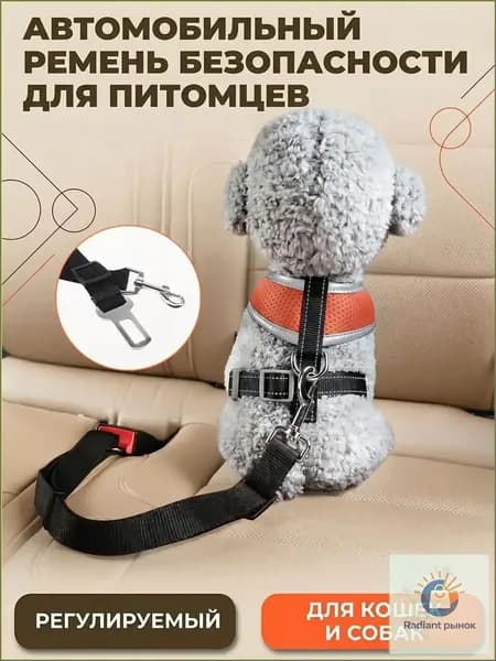 Ремень безопасности для собак в машину