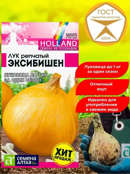 Семена лука репчатого Эксибишен. Урожайный, нежный, сладкий вкус.