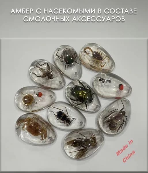 Коллекция насекомых